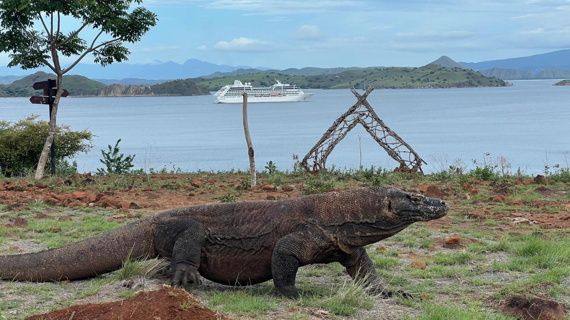 Jhuna Komodo Homestay Extérieur photo